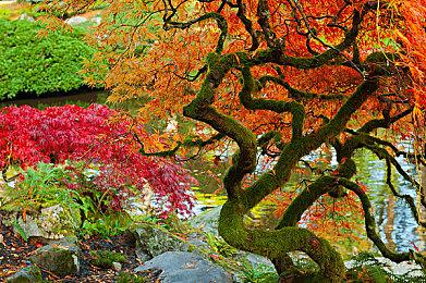 《秘密城堡》开发商被控诉出尔反尔 改用生成式ai替换声优