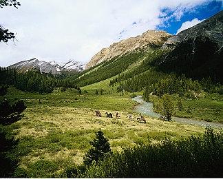 米哈游：《原神》剧情PV-「荣勋」