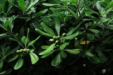 全新DLC《永恒空间2：泰坦 》将于下月推出