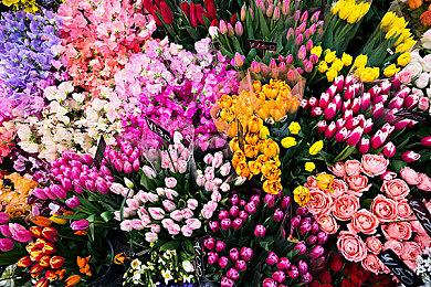 《漫威暗夜之子》前传短片 #4 – 日行者- 现已推出